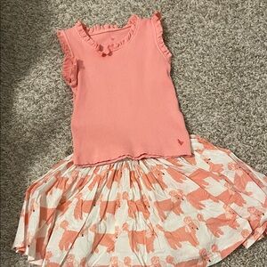 Pink Chicken Ruffle Top and Skirt Set